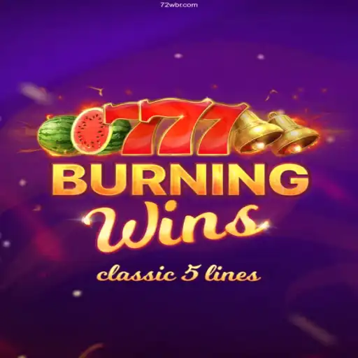 Exploring the Excitement of BurningWins